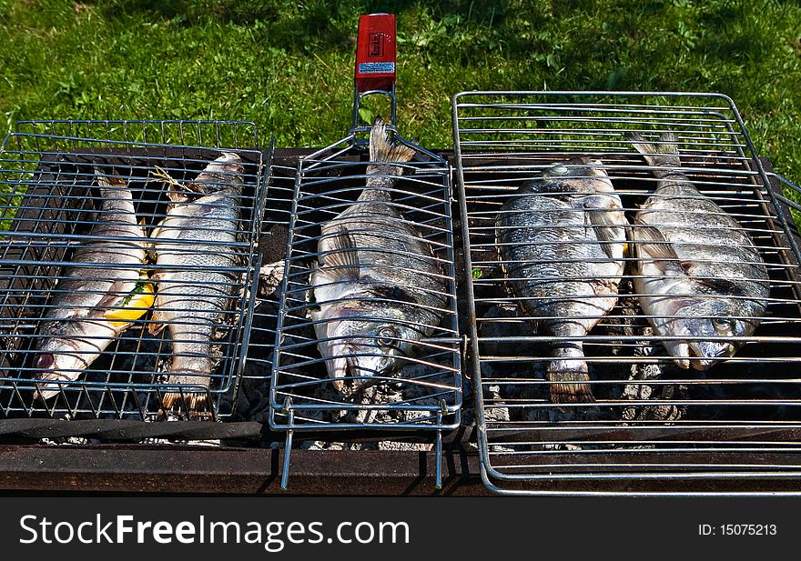 Fresh fish on a grill