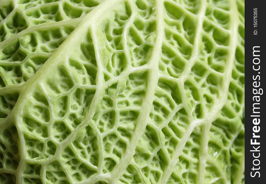 Cabbage leaf ; close-up, can be used as a background