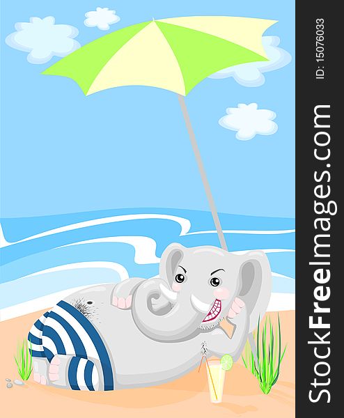 Elephant on the beach