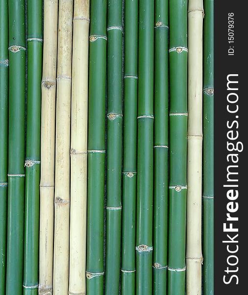 Green vertical chinese bamboo background