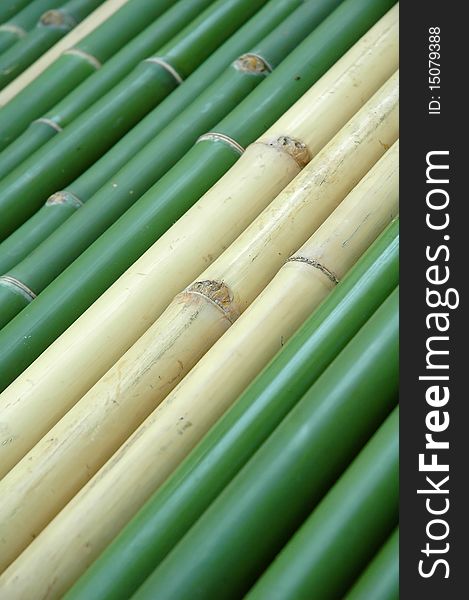 Green and yellow vertical chinese bamboo background