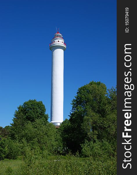 Lighthouse in a forest near sea. Lighthouse in a forest near sea