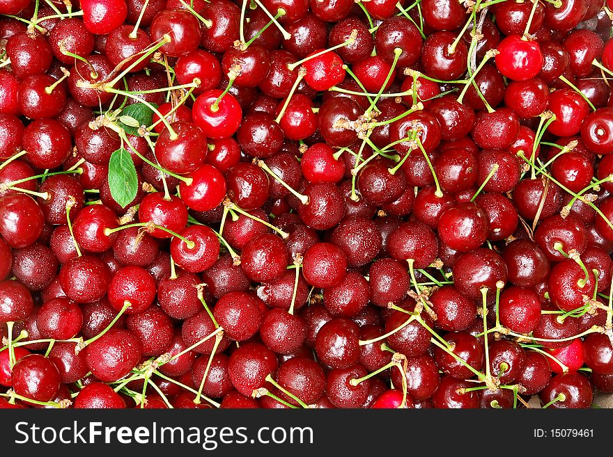 Juicy Ripe Cherry