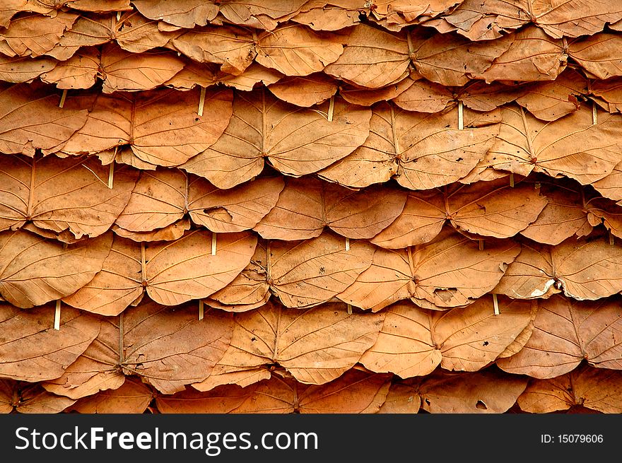 Texture of leave roof in thai country house