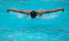 Athletes Swimming On A Swimming-pool Royalty Free Stock Photo