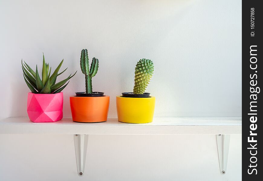 Beautiful Various Geometric Concrete Planters With Cactus, Flower And Succulent Plant. Colorful Painted Concrete Pots For Home