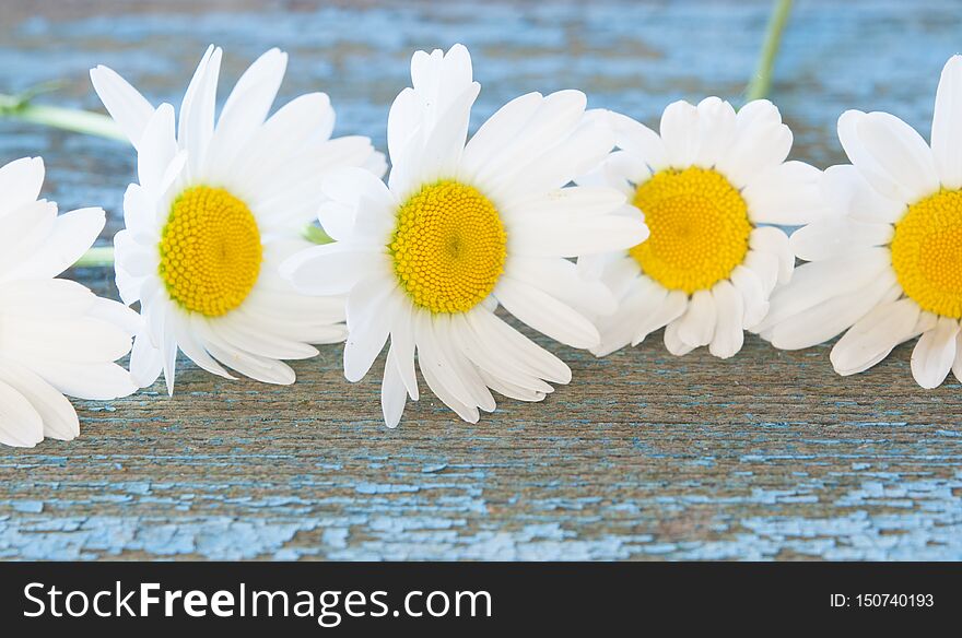 Chamomile Flowers On Wooden Background With Copy Space