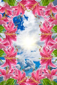 Frame Of Pink Lilies Stock Images Frame Of Pink Lilies Stock Images