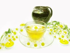 Herbal Tea With Daisy Medical Flowers Stock Image Herbal Tea With Daisy Medical Flowers Stock Image