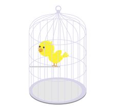 Bird Royalty Free Stock Photography Bird Royalty Free Stock Photography