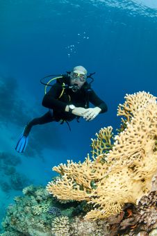 Scuba Diver Royalty Free Stock Photo Scuba Diver Royalty Free Stock Photo