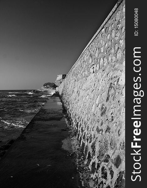 Black/white picture of the sea whall, nature. Black/white picture of the sea whall, nature