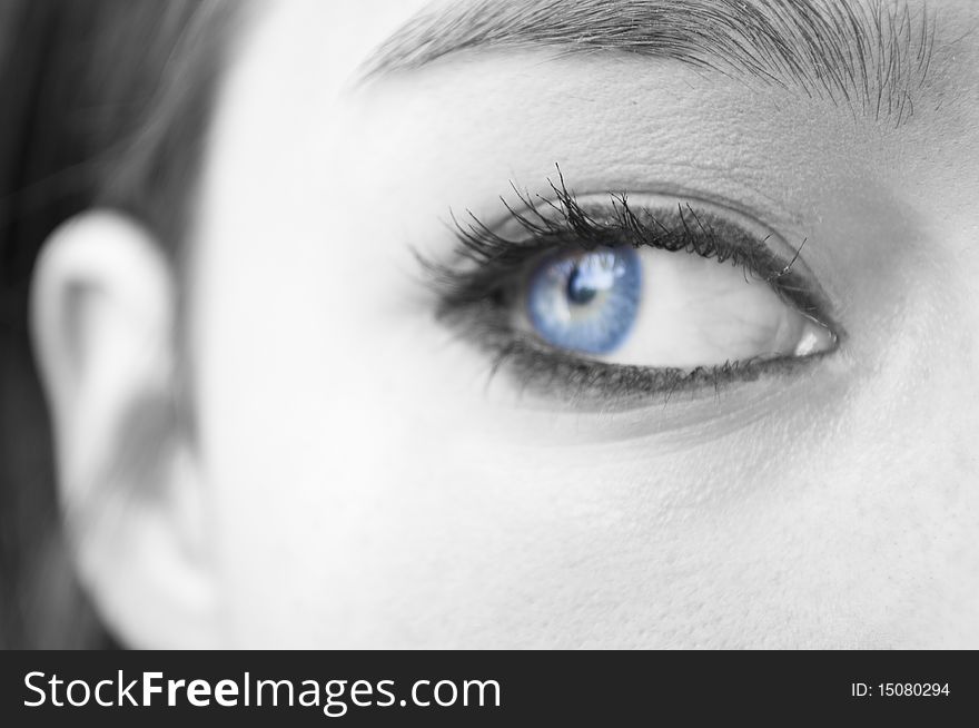 Woman eye - black and white macro shot -