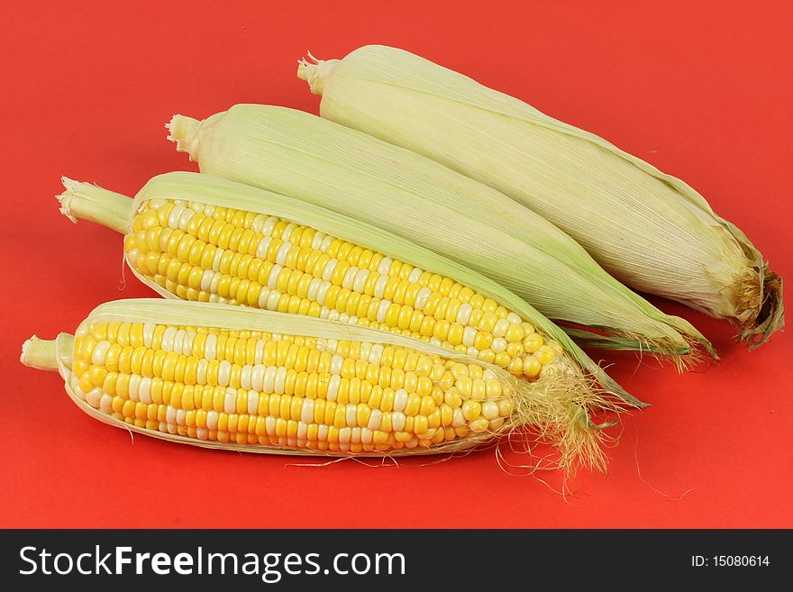 Colorful traditional Thanksgiving corn, isolated on red. Colorful traditional Thanksgiving corn, isolated on red