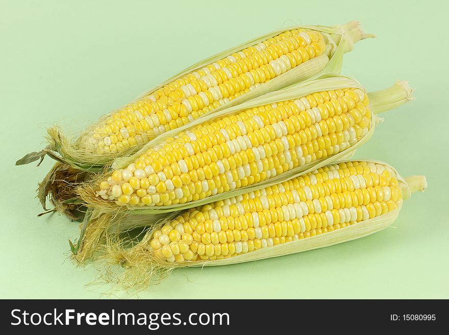 Colorful traditional Thanksgiving corn, isolated on green. Colorful traditional Thanksgiving corn, isolated on green