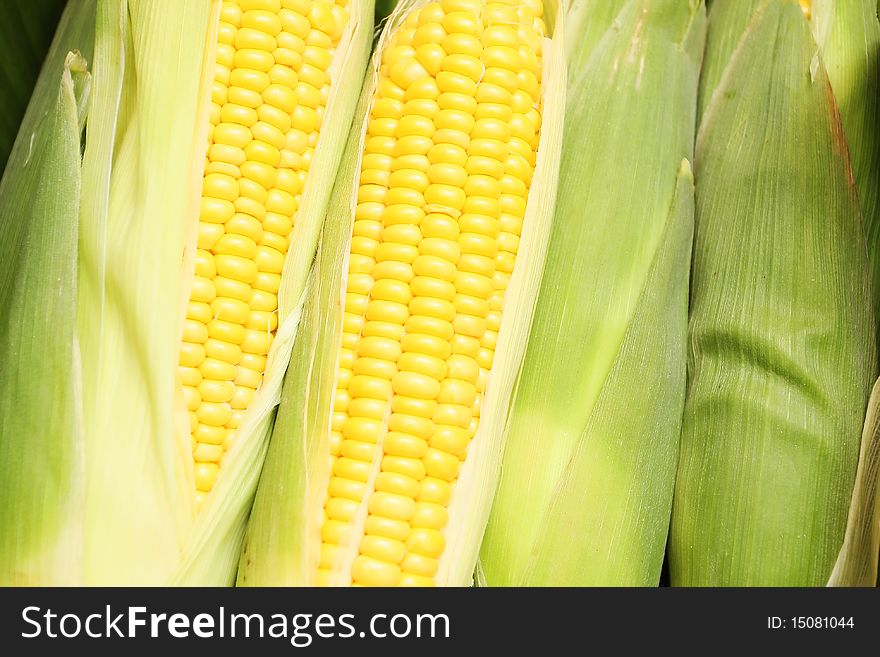 Fresh corns