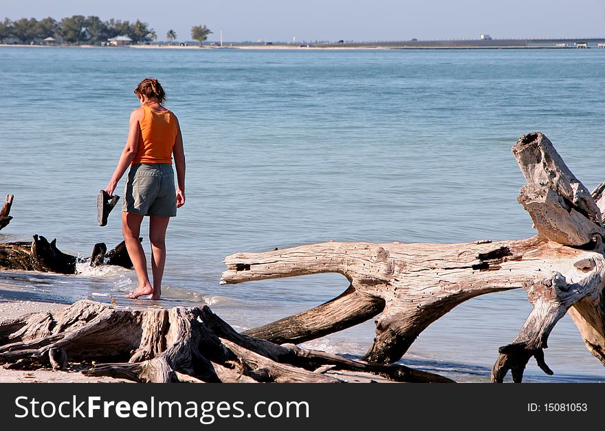 Woman walking barefoot on beach Sanibel Florida. Woman walking barefoot on beach Sanibel Florida