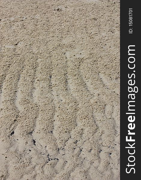 The texture of sand beach. The texture of sand beach