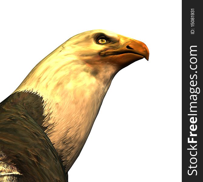 3d rendering an eagle as illustration. 3d rendering an eagle as illustration