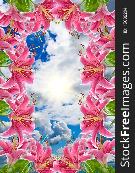 Frame of pink lilies on a background of sky and sun