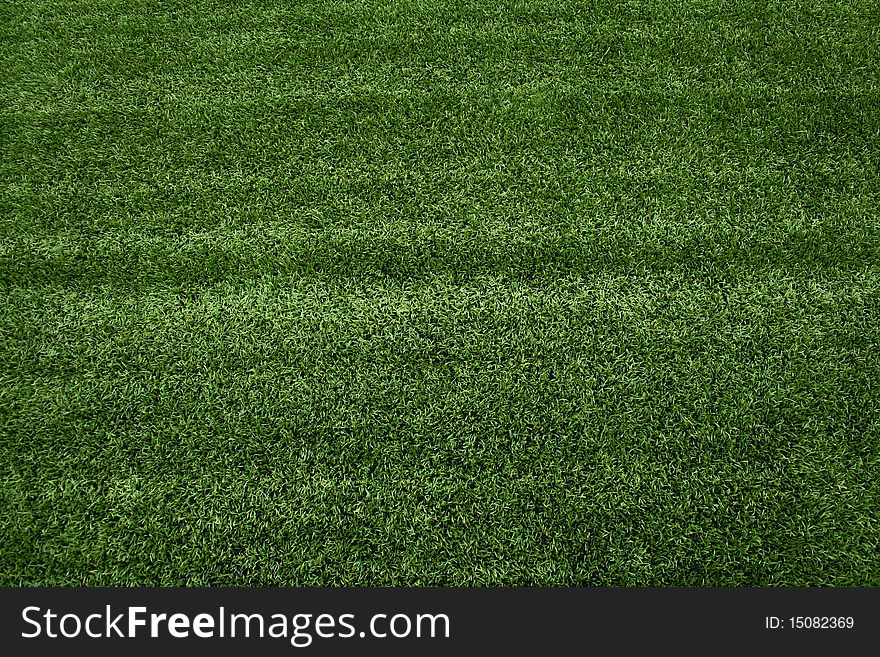 The Beautiful Green Grass of soccer field