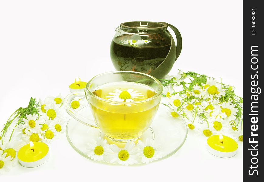 Herbal tea with daisy field flowers. Herbal tea with daisy field flowers