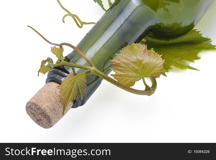 Grape-vine and bottle