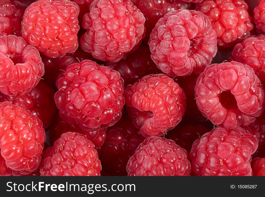 Heap of ripe fresh raspberry