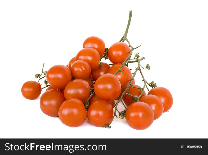 Branch of tomatoes cherry in isolated over white