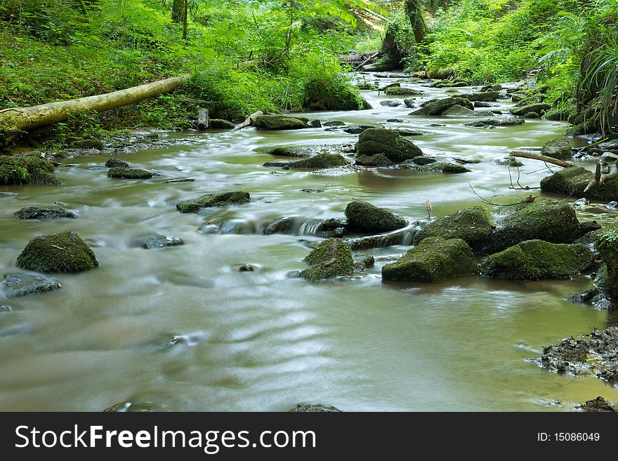 Mountain river in the forest