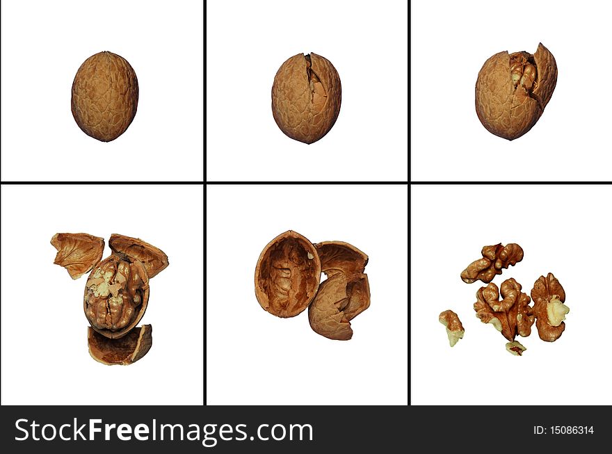 The chopped nuts. Series of photographs
