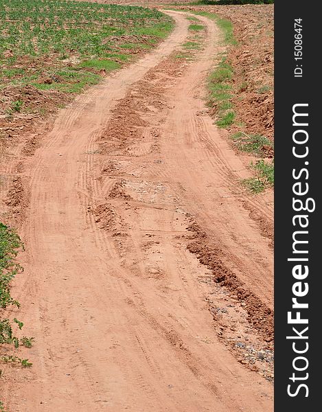 Close up s curve road in cassava farm