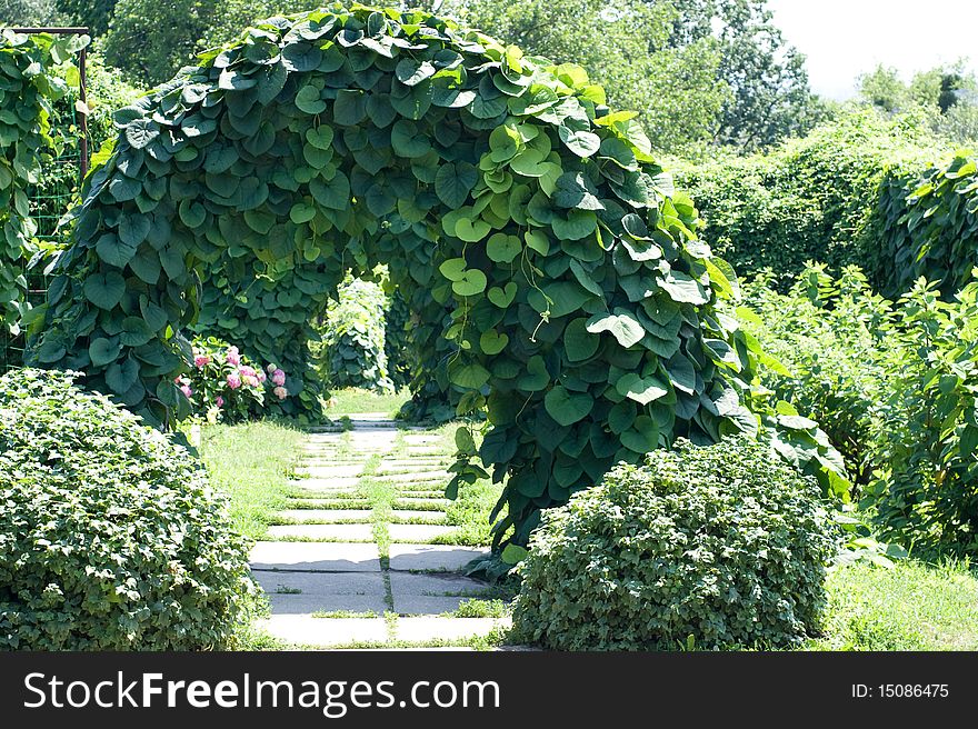 Garden green arch from lian