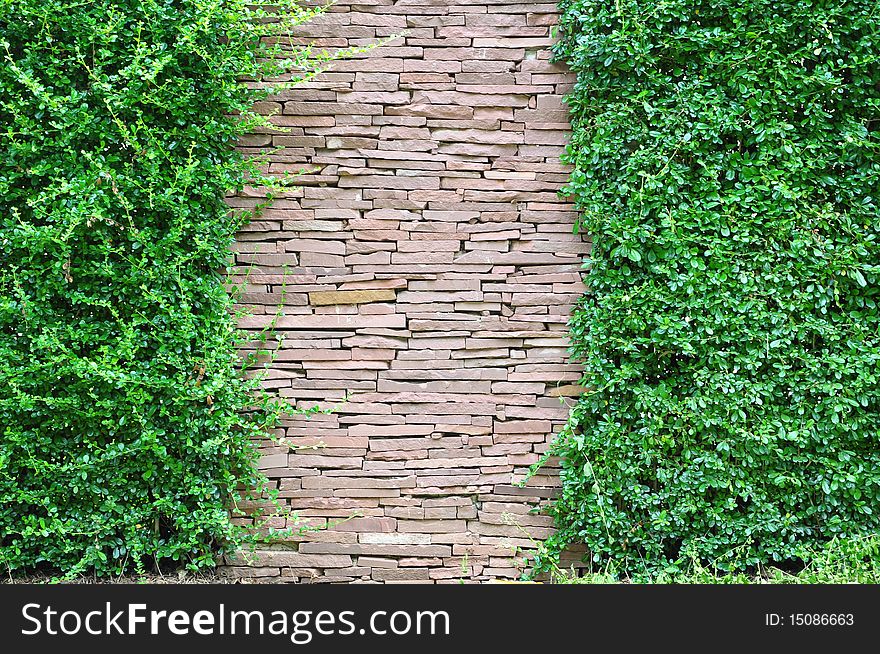 Stone and grass background view