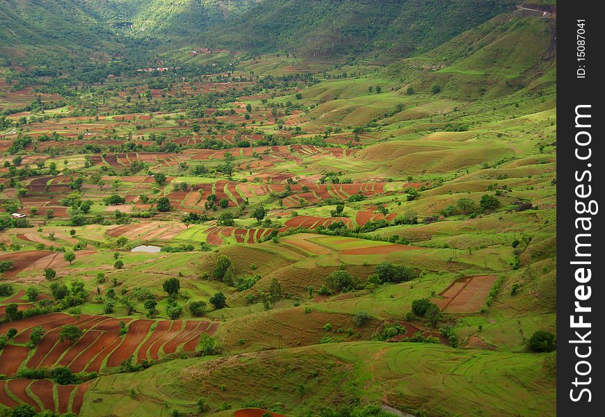 A beautiful and vibrant landscape with green fields and meadows in an Indian village.