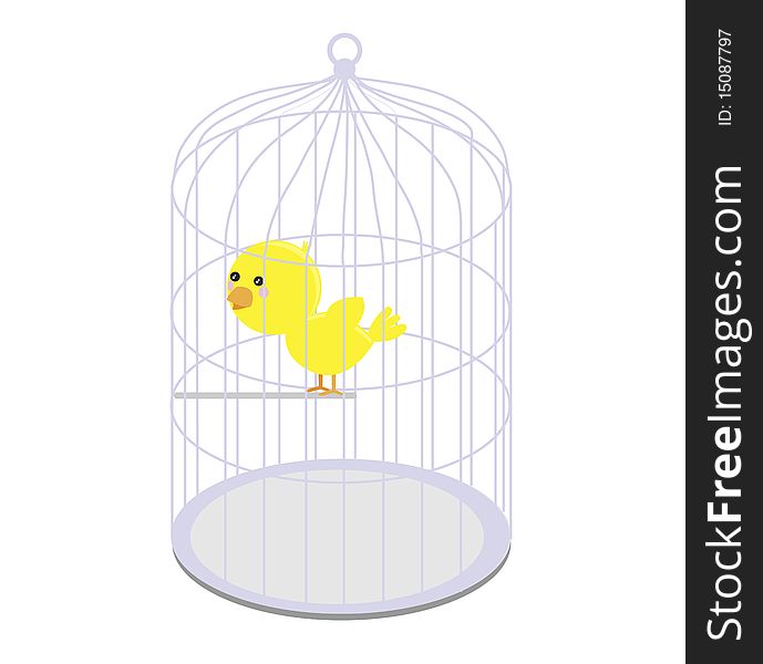 Bird in the cage on the white background