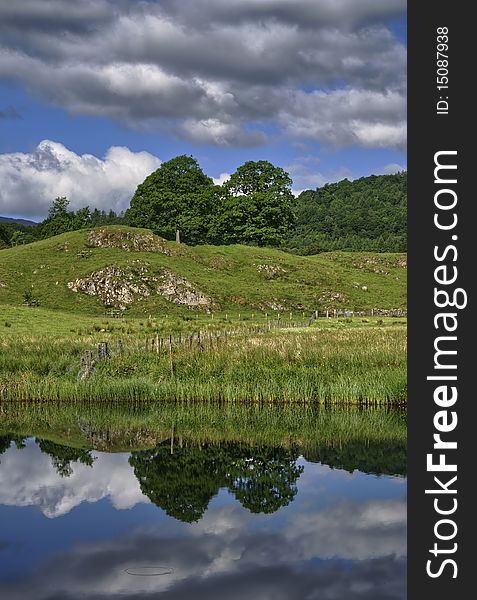 Tree reflections in the river Brathay