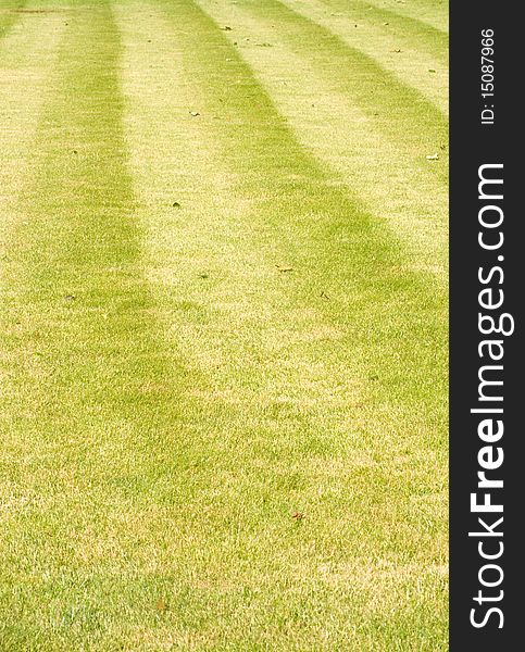 An image of a 'manicured' lawn with stripes and no weeds. An image of a 'manicured' lawn with stripes and no weeds.