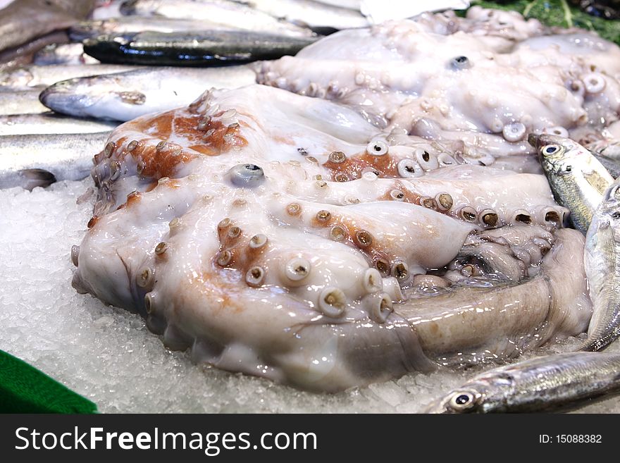 Octopus in the ice at the market