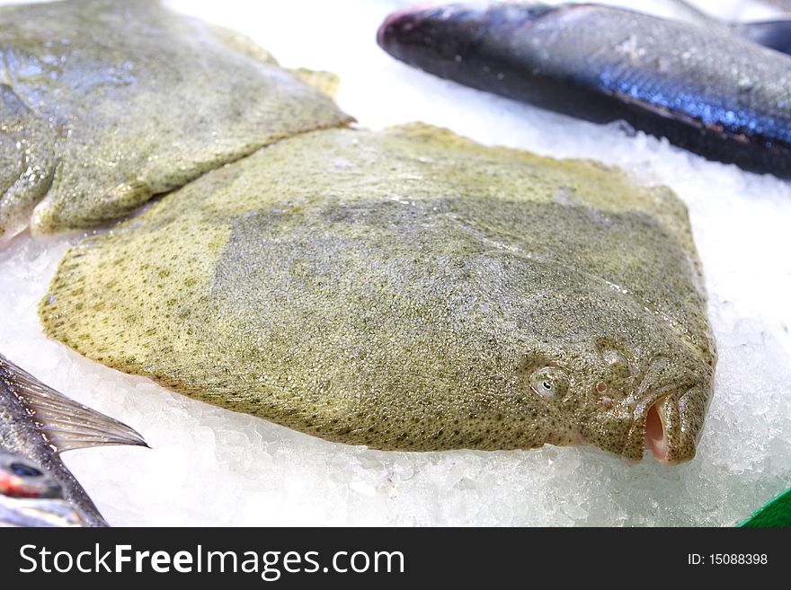 Flatfish in the ice at the market