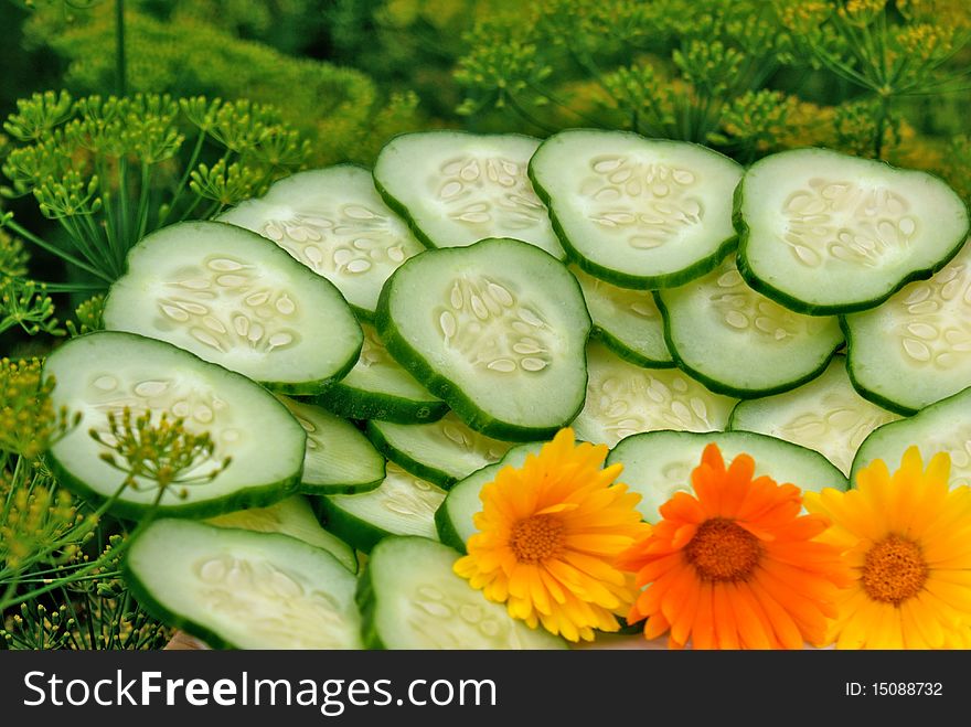 Makeup aromatic appetizing green cucumber- palatable snack