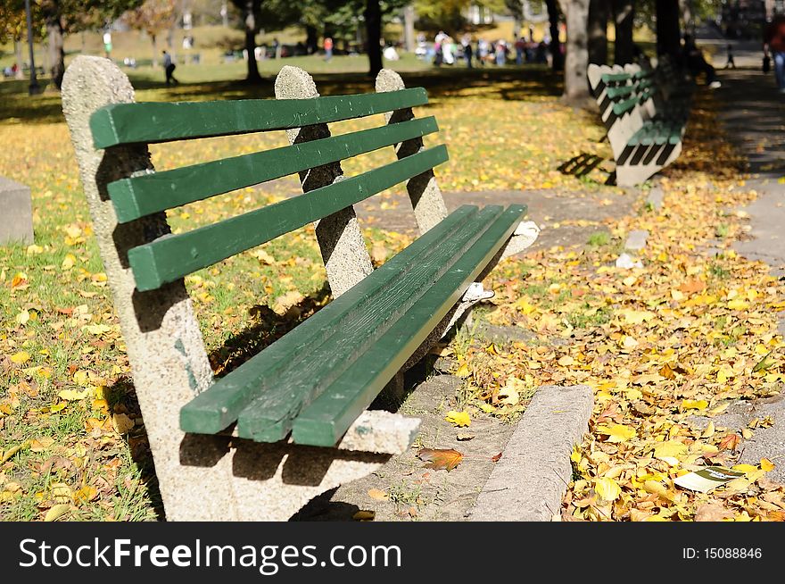 Empty Bench in Boston Public Park, Boston, USA.
SDOF. Focused middle of the first bench.