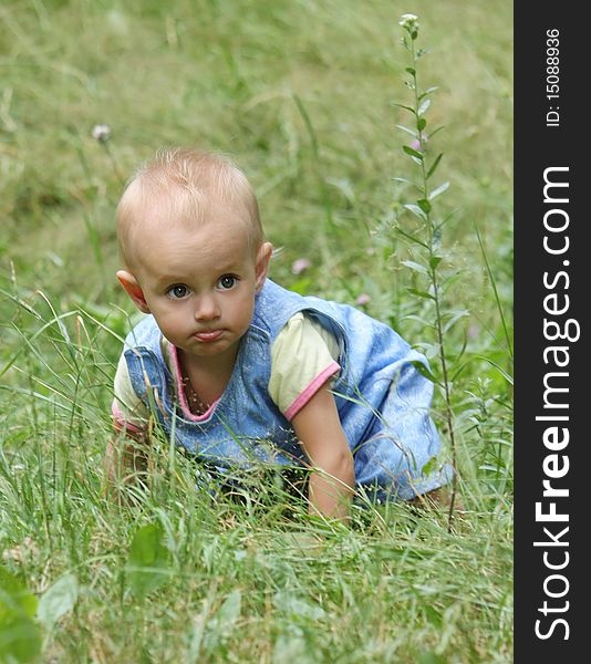 Little girl crawls into the high green grass. Little girl crawls into the high green grass