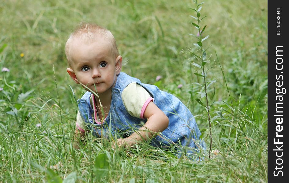 Little girl crawls into the high green grass. Little girl crawls into the high green grass