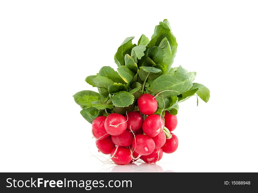 A bunch of red healthy radish isolated over white. A bunch of red healthy radish isolated over white