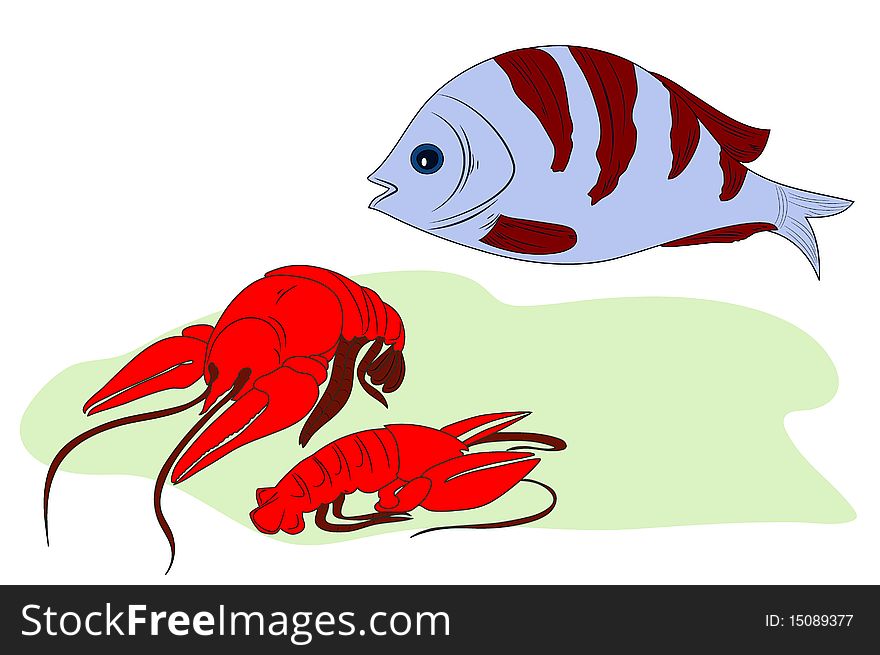 Illustration of two lobsters ans a fish. Illustration of two lobsters ans a fish.