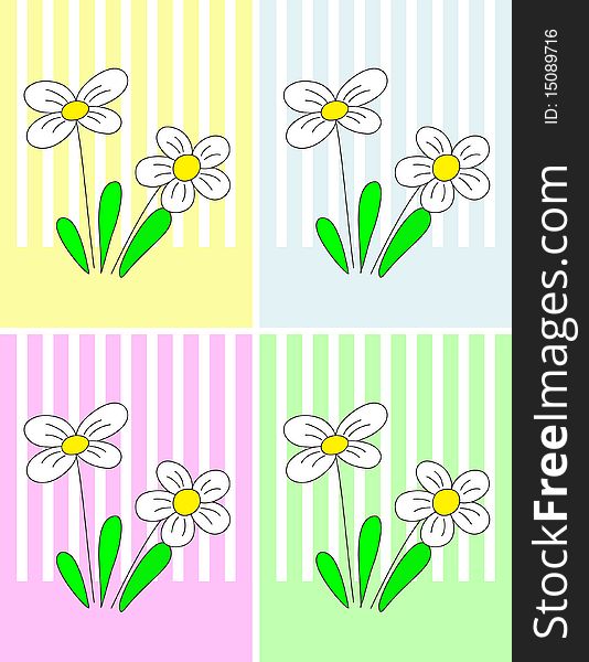 White flowers with four colorful backgrounds