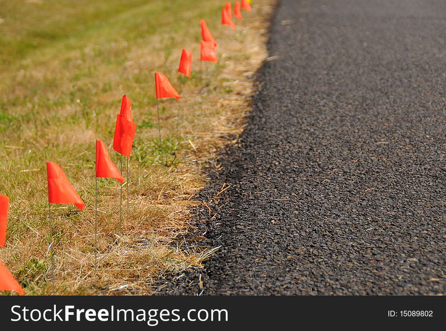 A bunch of racing flags stuck in the ground