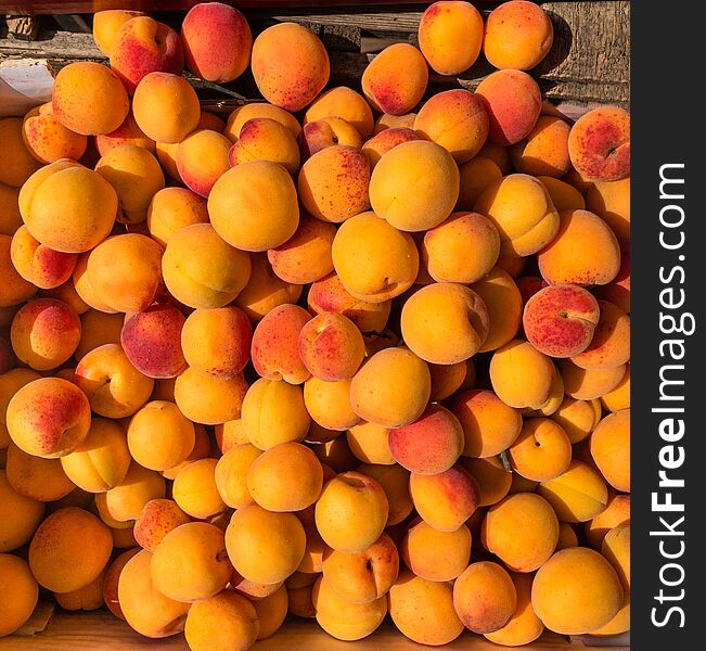 Colorful Yellow Ripe Apricots In Sunlight Top View. Delicious Healthy Summer Fruit