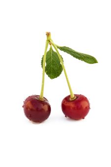 Two Cherries With Drops Of Dew Stock Photo